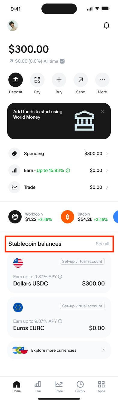 Home - Stablecoin balances.png